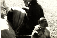 30-dannymiranda-lahore-1969